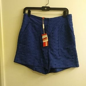 Royal Blue Shorts